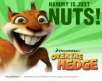 over-the-hedge-hammy 1280