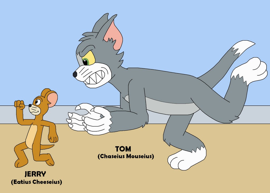 tom and jerry free run