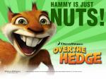 over-the-hedge-hammy 800