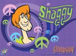 shaggy rogers 1024