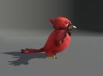 003 cardinal-cartoon-bird-3d-model-low-poly-obj-fbx-dae-mtl