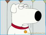 brian-griffin-family-guy